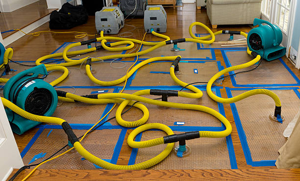 Professional Burst Pipe Water Damage technician working in San Mateo, CA